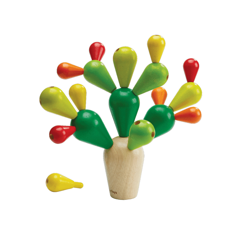 Balancerende cactus - Billimay